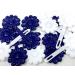 Tara Girls Self Hinge Plastic Flower Hair Barrettes 18-Piece Set (Blue White) - Buy Online on GoSupps.com
