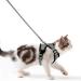 Cat dishes with a leash breakproof cat leash set adjustable soft kitten vest with reflective stripes breast dishes for small kittens (gray s) gray s