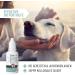 Reavet Special Eye Drops for Dogs & Cats - 20ml Colloidal Silver for Irritated Eyes & Tear Stains - Buy Online on GoSupps.com