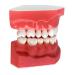 Flosser Electric Toothbrush - 4 Heads & 2 Rechargeable International Shipping Available - Buy Online on GoSupps.com