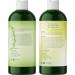 Cleansing Swimmers Shampoo & Conditioner Set - Sulfate-free for Chlorine, Minerals & Saltwater - Tea Tree Chelating Formula - Ideal for Swimmers - Buy Online on GoSupps.com