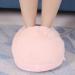 Lantro JS USB Electrical Foot Warmer & Heating Pillow | Winter Pain Relief Slippers | 5V 50 -60 | Office & Home Use - Buy Online on GoSupps.com
