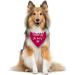 Dog Hill Towel - Premium Triangular Cloth for All Dog Sizes | Pregnancy Announcement & Accessory | Pink & Deep Pink - Buy Online on GoSupps.com