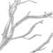 Zerodeko 6pcs Simulated Twigs Fall Decor Fake Tree Branch Branches for Diy Crafts Making Branches for Decoration Driftwood Branch Fall Home Flower Arrangement Plastic Filling Miss Silver 35X20X5CM - Buy Online on GoSupps.com
