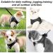 Cat Harness and Lead Set Soft Mesh Puppy Harness for Outdoor Escape-Proof Cat Kitten Harness with Leash Set for Walking Leash Adjustable Reflective Strips Vest Harnesses M Black - Buy Online on GoSupps.com