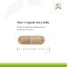 Terry Naturally Healthy Liver - Liver Function & Health Support Supplement - Cellular Health Support with Andrographis EP80 & French Grape Seed Extract - Gluten-Free Dietary Supplement - 60 Capsules - Buy Online on GoSupps.com