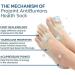 Sofeet Bunion Socks 5-Pack | Anti-Bunion Projoint Health Sock | Bunion Relief & Correction | Toe Alignment | Beige - Buy Online on GoSupps.com