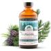 PURELY WILD Raw Pine Needle Extract by Dr Cass Ingram - Whole Food Liquid Supplement That Contains Pine and Spruce Extracts Oregano Oil & Apple Cider Vinegar - Best for Immune Support - 8 fl oz