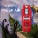 Old Spice Body Wash for Men Champion 709 ml (24 fl.oz) Fresh 709 ml (Pack of 1) - Buy Online on GoSupps.com