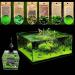 Haloppe 600 Pcs Water Grass Flowers Plant Seeds | Aquatic Plants for Home Garden & Aquarium Decoration - Buy Online on GoSupps.com