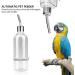 Parrot Water Feeder Stainless Steel Nipple No Drip Hanging Water Dispenser for Small Animals Hamster Rabbit Chinchilla Ferret(L) - Buy Online on GoSupps.com