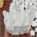 Natural Crystal Rough 600g Natural White Quartz Crystal Cluster Specimen Wedding Decoration Aquarium - Buy Online on GoSupps.com