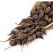 Forsythia Tea: 100% Therapeutic Grade Dried Forsythia Fruit Herb - 60g/2.11oz - Buy Online on GoSupps.com