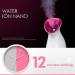 Humidificateur Facial usage domestique vapeur professionnelle Nano ionique vaporisateur chaud pour r duire les rides hydratant C - Buy Online on GoSupps.com