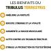 Tribulus Terrestris - 120 Capsules | High Dosed in Saponins (60%) | Muscle Growth | Bodybuilding | Made in France | Nutrition Pro - Buy Online on GoSupps.com