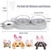 3-In-1 Cat Food And Water Bowl Set Cat Bowls With Stand Double Cat Bowls with Water Dispenser For Pet Food And Water Feeder For Small Medium Dogs Cats Gray - Buy Online on GoSupps.com