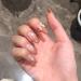 MISUD 24Pcs Medium Press on Nails with 3D Bow & Pearl Design - Glossy Coffin False Nails for Daily Use - Buy Online on GoSupps.com
