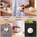 bopely Sneaker Deodorizer Balls 6 Pcs Shoe Odor Deodorant Ball for Gym Bag Locker Closet Car Odor Air Fresheners for Shoe - Buy Online on GoSupps.com