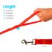 Buy Edipets Waterproof Dog Tow Line - 5m Red Training Leash for All Dog Sizes - Durable & Versatile - Buy Online on GoSupps.com