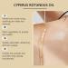 2Pcs Cyperus Rotundus Oil Natural Cyperus Rotundus Oil for Hair Removal Reduces Unwanted Hair Growth Moisturizes & Soothes Skin Reducing Body Hair Growth Shrink Pores for All Skin Types(60ml) - Buy Online on GoSupps.com