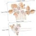 HAPINARY 1 Set Leaves and Flowers Hair Comb Wedding Hair Accessories for Brides Flower Hair Combs Flower Hair Clips for Women Bride Headpieces for Wedding Hair Accessories for Bridesmaids - Buy Online on GoSupps.com