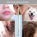 BEBIRD Ear Wax Removal Tool Wireless Otoscope 1080P WiFi Camera with LED Lights - Compatible with iPhone iPad Android - for Adults, Kids & Pets - Silver - Buy Online on GoSupps.com