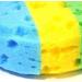 Buy Frcolor 2pcs Bath Sponge Set Colorful Oval Seaweed Scrubber | International Shipping Available - Buy Online on GoSupps.com