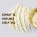 Lemon & Walnut Lip Scrub - Exfoliate & Brighten for Smooth Glowing Lips | Intensive Hydration 10g - Buy Online on GoSupps.com
