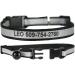 Personalized Reflective Cat Collar | Engraved Custom Collar with Name & Phone | Breakaway Safety Buckle | Adjustable for Cats - Blue - Buy Online on GoSupps.com