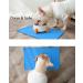 Taglory Waterproof Non-Slip Silicone Feeding Mat for Dogs & Cats - 47x30cm Blue | Durable Bowl Pad & Food Underlay - Buy Online on GoSupps.com