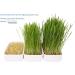 mf Cat Grass Grow Kit (3-Pack with Reusable Tray) - Buy Online on GoSupps.com