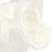 White Wedding Flower Basket Easy Carry Lightweight Wedding Flower Girl Basket for Photography - Buy Online on GoSupps.com