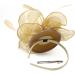 FRCOLOR Fascinator Feather Headband / Clip Party Wedding Royal Ascot Races Hair Accessories Headdress (Golden) - Buy Online on GoSupps.com