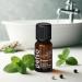 100% Pure Peppermint Essential Oil 10ml | Natural Oil for Diffuser Hair Growth Cooking & Gifts - Buy Online on GoSupps.com