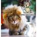 OMG Adorables Lion Mane Costume for Cat - Fun Pet Costume for Halloween and Parties - Buy Online on GoSupps.com