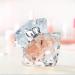 Romantic Emblem Lady Eau de Parfum Spray for Women with Notes of Rose Raspberry Peach Sandalwood and Patchouli 2.5 fl oz New