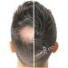  HAIR GO Premium Hair Thickening Shampoo - Hair Powder - Conditioner - For Hair Loss - 100% Natural and Vegan - 1 Pack (1 x 25g) (Dark Blonde) - Buy Online on GoSupps.com