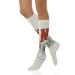 Fashion Compression Socks Performance Polyester Cushioned Athletic Crew Socks for Running Athletic Green Eggshell_16