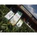 Taiwan unique tea Paochong teas 150g*4 - Buy Online on GoSupps.com