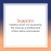 Natural Factors Lutein 40 mg - 30 Softgels for Eye Health Support - Buy Online on GoSupps.com