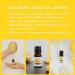 Lemon Essential Oil 30mL by Revive Essential Oils - 100% Pure Therapeutic Grade for Diffuser Humidifier Massage Aromatherapy Skin & Hair Care Lemon 1 Fl Oz (Pack of 1) - Buy Online on GoSupps.com