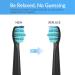 6 Pack Black Electric Toothbrush Replacement Heads for Fairywill FW-D1/D3/D7/D8- Compatible with FW-507/508/551/908/910/917/949/958/959/610/659/719 - Buy Online on GoSupps.com