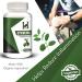 H&C Gurmar Capsules (Gymnema Sylvestre) 900mg - 120 Vegan Capsules | Healthy Blood Sugar & Metabolic Wellness Support - Buy Online on GoSupps.com