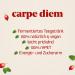 Carpe Diem Kombucha Classic - 6 Pack (750 ml) | Refreshing & Disposable | International Shipping - Buy Online on GoSupps.com