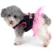 Ranphy Chihuahua Dress for Dogs | Cute Crown Princess Summer Outfit in Pink & Black - Buy Online on GoSupps.com