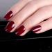 Sheer Gel Nail Polish Jelly Dark Red Translucent Color UV/LED Light Cure Gel Polish for Nail Art DIY Manicure and Pedicure at Home 0.5 fl oz - Buy Online on GoSupps.com