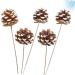 TEHAUX 10 Pcs Floral Flower Bouquet Artificial Pine Cone Bouquet Artificial Plants Diy Crafting Pinecones Branches Pinecones with Pine Floral Picks Mini Wreath Ornament Vase Autumn Bamboo As Shownx2pcs 50X5cmx2pcs - Buy Online on GoSupps.com