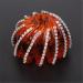 Stylish Cuhair 2-Piece Rhinestone Ponytail Holders | International Shipping Available - Buy Online on GoSupps.com