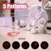Laser Pointer Interactive Cat Toy | Rechargeable Red Laser Light for Cats, Kittens, Dogs | Exercise & Training Tool - Purple - Buy Online on GoSupps.com