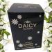 DAICY POUR FEMME Eau de Parfum 3.4 Fl.Oz Floral Woody Musk fragrance for Women - Buy Online on GoSupps.com
